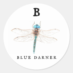 ‚B‘ Blue Darner Runder Aufkleber