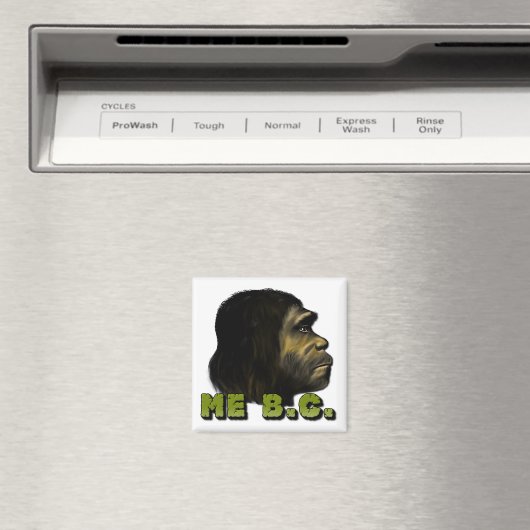 B.C. MAGNET (In Situ (Geschirrspüler))