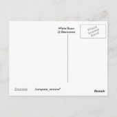 B E A R I Z O N A POSTKARTE (Rückseite)