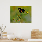 B-Fly und die Ladybugs Poster (Küche)