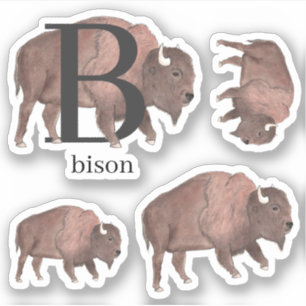 B für Bison Stickers Aufkleber