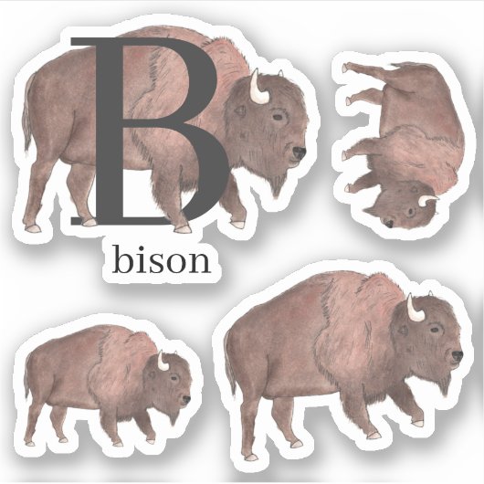 B für Bison Stickers Aufkleber (Vorderseite)