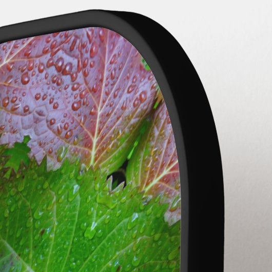 B&G Ikat 5 Pickleball Schläger (Linke Seite)