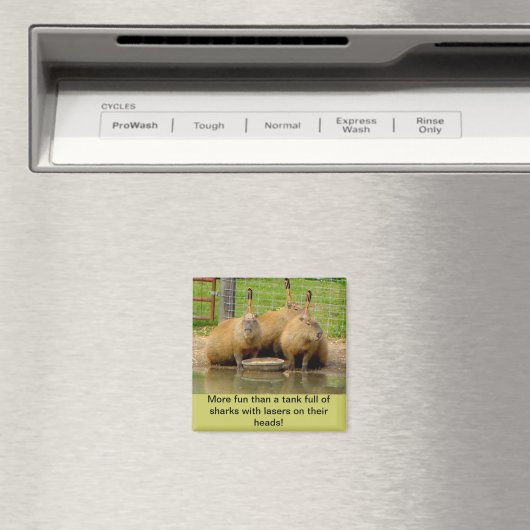 B - Humoristisches Capybara Magnet (In Situ (Geschirrspüler))