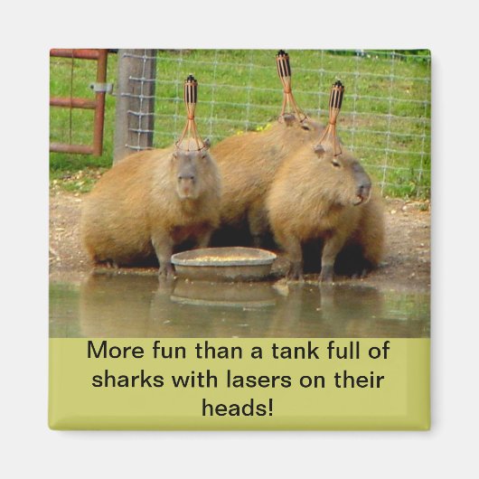 B - Humoristisches Capybara Magnet (Vorne)