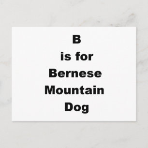 b ist für Berner Sennenhund Postkarte