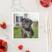 B;Mops-Pupp zurücklegen Serviette (Beispiel)