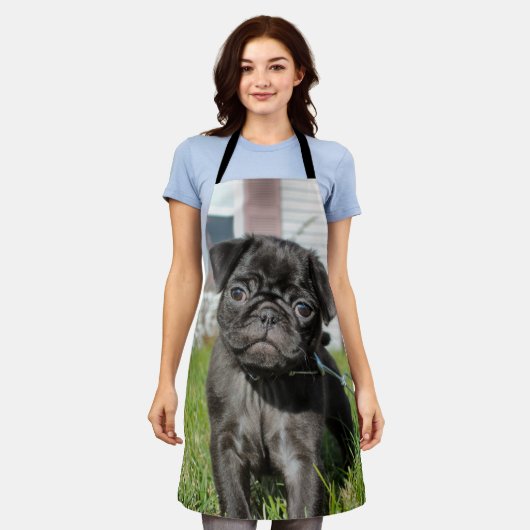 B; Mops zurückwerfen Schürze (Getragen)