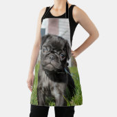 B; Mops zurückwerfen Schürze (InSitu)