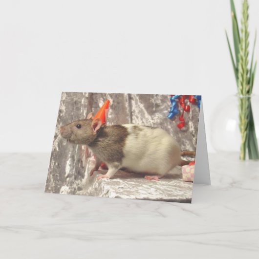 B-tägige Karte der Ratte (Vorderseite)