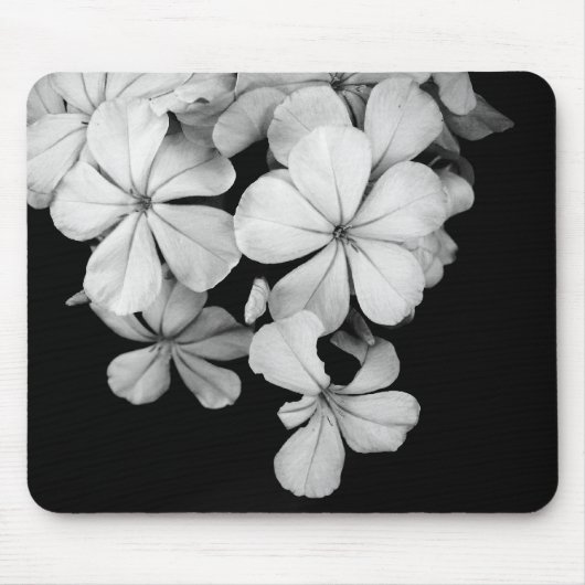 b und w mousepad (Vorne)