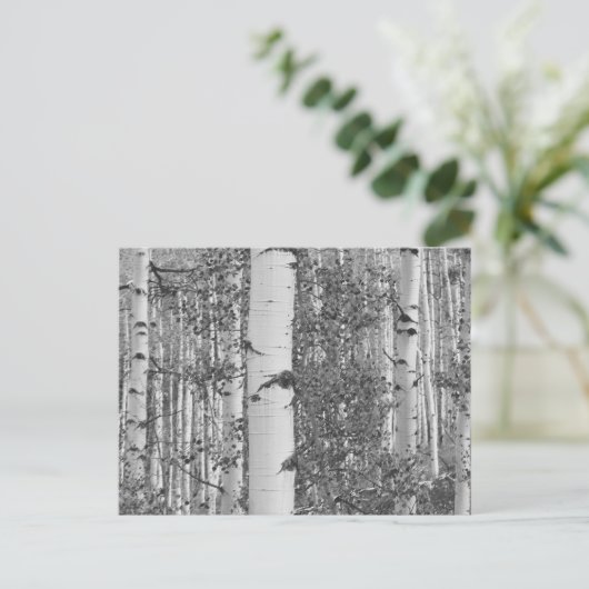 B&W Aspen 9 Postkarte (Stehend Vorderseite)