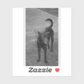 B&W - Aspin Aufkleber (Blatt)