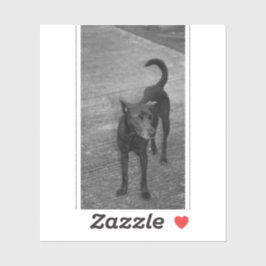 B&W - Aspin Aufkleber