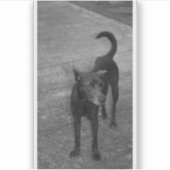 B&W - Aspin Aufkleber (Vorderseite)