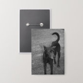 B&W - Aspin Button (Vorderseite/Rückseite)