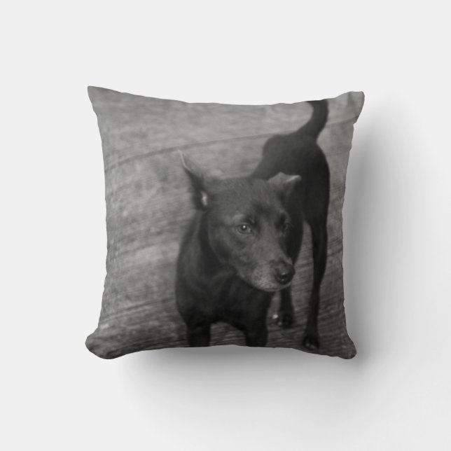 B&W - Aspin Kissen (Vorderseite)