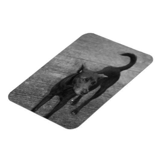 B&W - Aspin Magnet (Linke Seite)