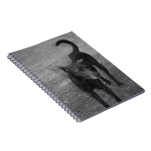 B&W - Aspin Notizblock (Rechte Seite)