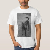 B&W - Aspin T-Shirt (Vorderseite)
