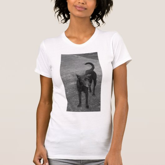 B&W - Aspin T-Shirt (Vorderseite)