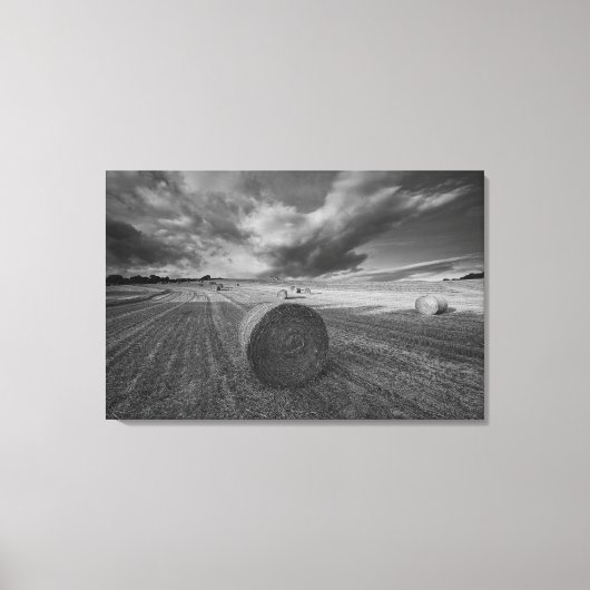 B&W Barley Field 2 Leinwanddruck (Vorderseite)