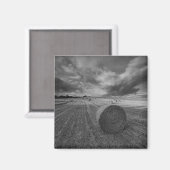 B&W Barley Field Magnet (Vorderseite/Rückseite)