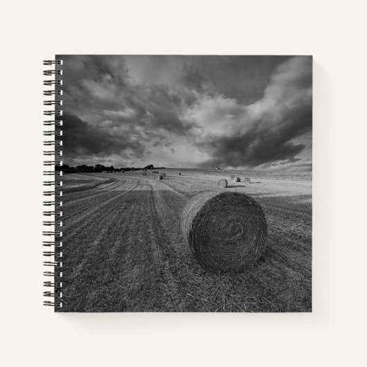 B&W Barley Field Notizblock (Vorderseite)