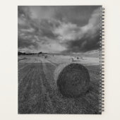 B&W Barley Field Planer (Rückseite)