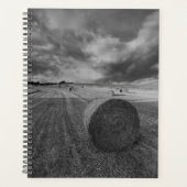 B&W Barley Field Planer (Vorderseite)