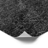B&W Barley Field Poster (Ecke)