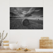 B&W Barley Field Poster (Küche)