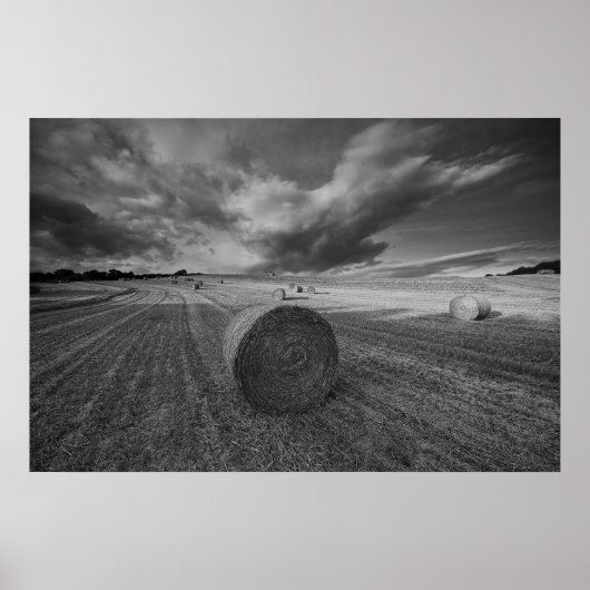 B&W Barley Field Poster (Vorne)