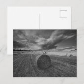 B&W Barley Field Postkarte (Vorne/Hinten)
