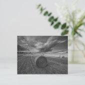 B&W Barley Field Postkarte (Stehend Vorderseite)