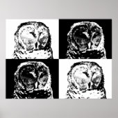 B/W Barred Owl Pop Art Poster (Vorne)
