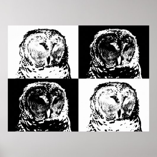 B/W Barred Owl Pop Art Poster (Vorne)