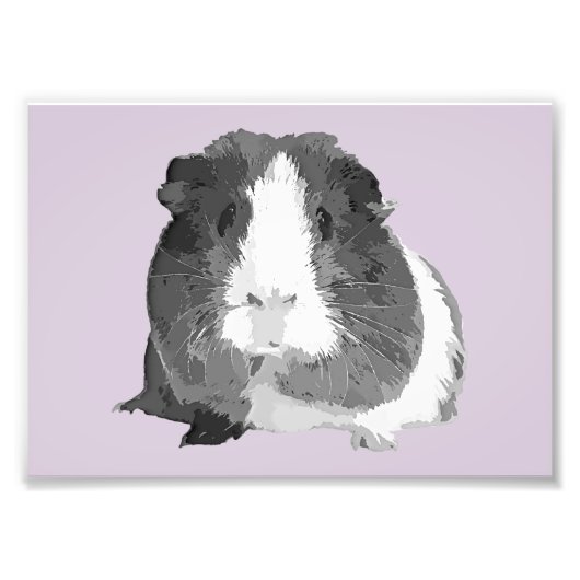B&W 'Betty' Guinea Pig Print (Rahmen verfügbar) Fotodruck (Vorne)
