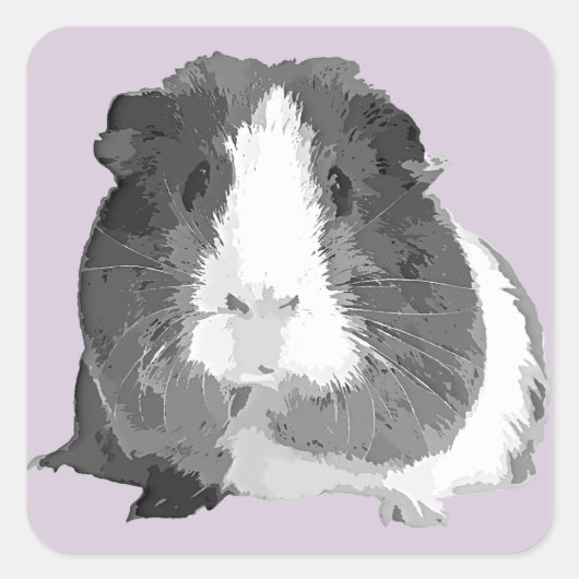 B&W 'Betty' Guinea Pig Stickers (Vorderseite)