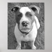 B/W Chevy Poster (Vorne)