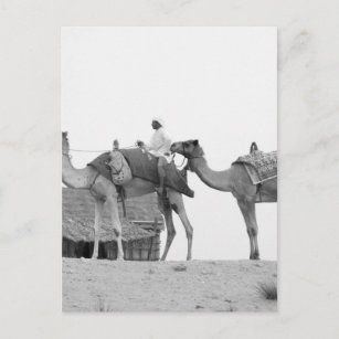B&W Dubai Wüste Postkarte