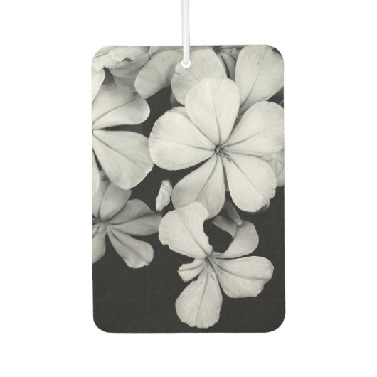 B&W Elegante Blume Autolufterfrischer (Vorderseite)