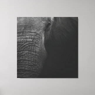 B&W Elephant Leinwanddruck