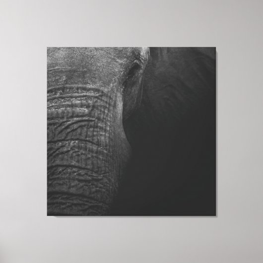 B&W Elephant Leinwanddruck (Vorderseite)