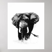 B&W Elephant Posters Prints Poster (Vorne)