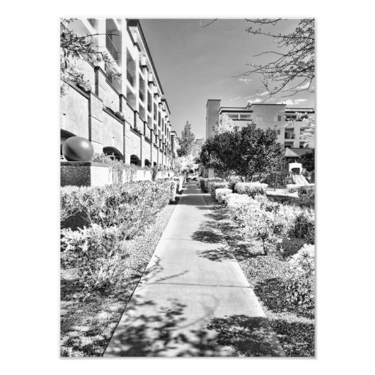 B&W FOTODRUCK (Vorne)