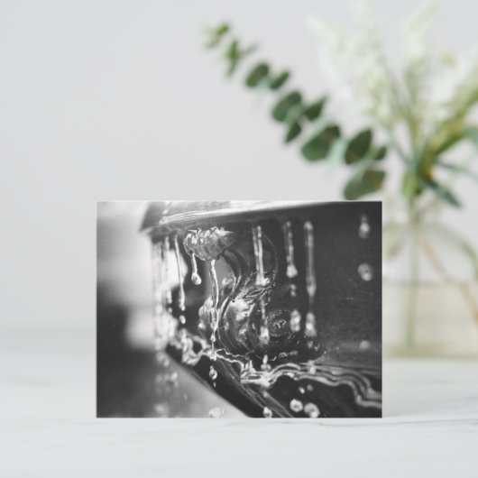 B&W Fountain Postkarte (Stehend Vorderseite)