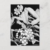 B&W Frangipani Bohemisch Botanische Unterkunft Begleitkarte (Rückseite)