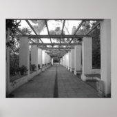B&W Garden Poster (Vorne)