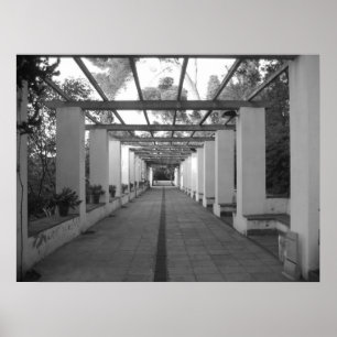 B&W Garden Poster